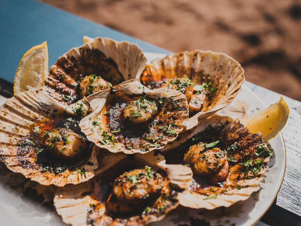 Start Bay Scallops